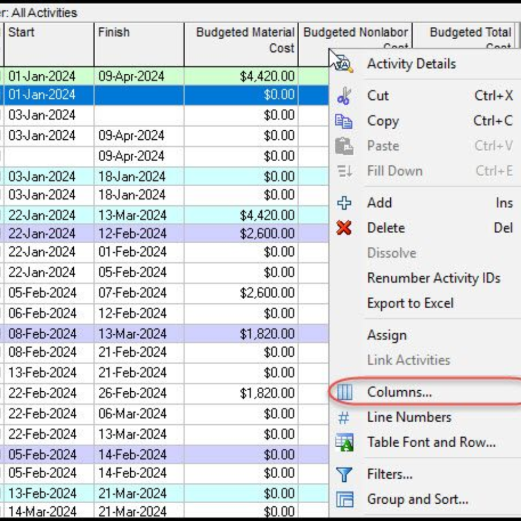 Spreadsheet of activities showing Start/Finish dates and costs; right-click menu open with 'Columns...' highlighted.